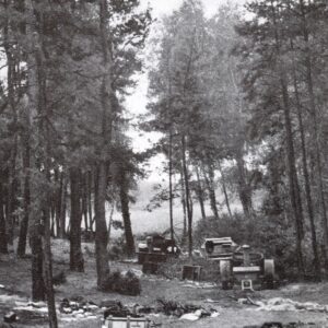 Destroyed Polish tank column.