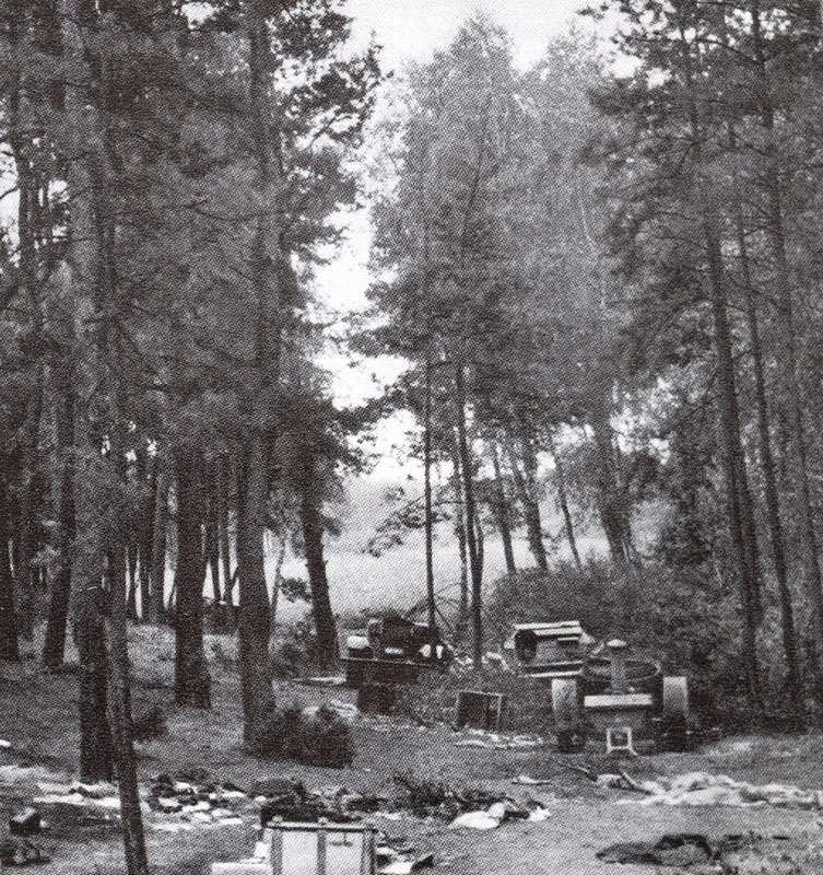 Destroyed Polish tank column.