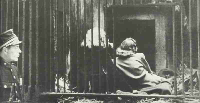 Female collaborators in the cages of a zoo