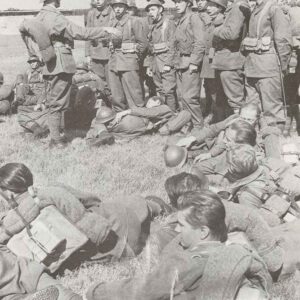 Polish troops in French uniforms