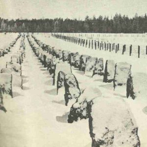 Russian-Finnish border with anti-tank obstacles