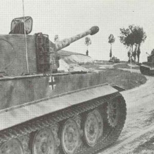 Tiger tanks of LAH
