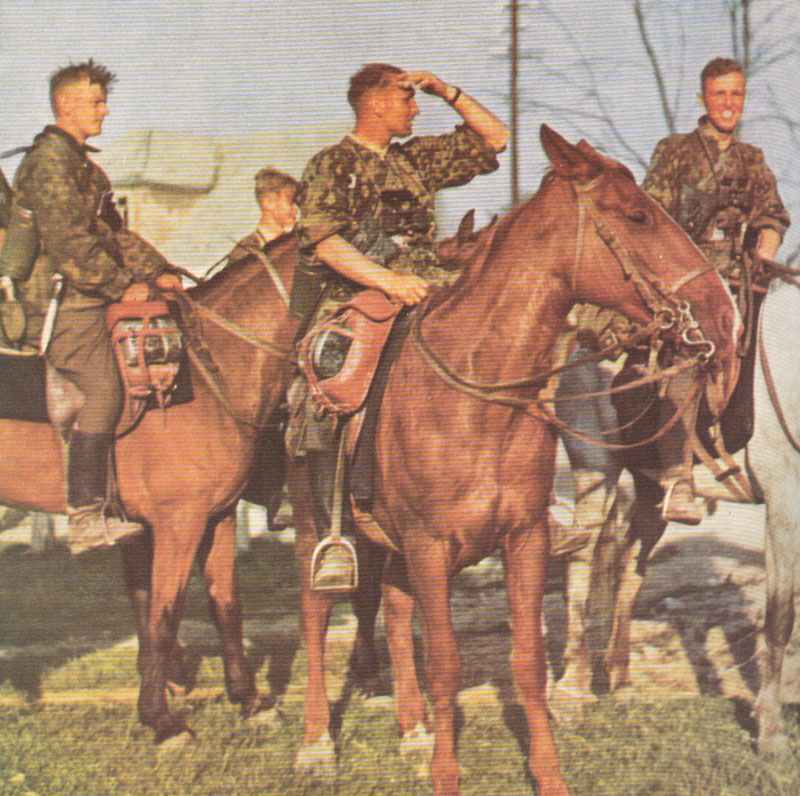 Waffen-SS Crimes > WW2 Weapons