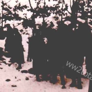 German soldiers in the snow of a forest