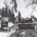 In the forests of the middle eastern front meet two German Tiger tanks.