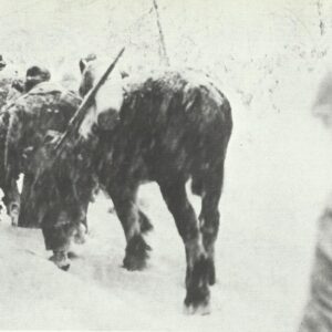 winter war in the Ardennes