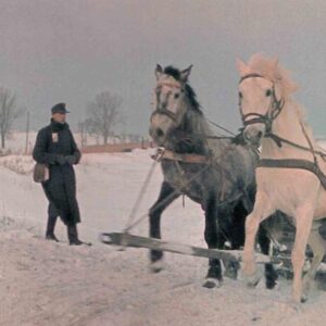 refugee trek in Eastern Germany