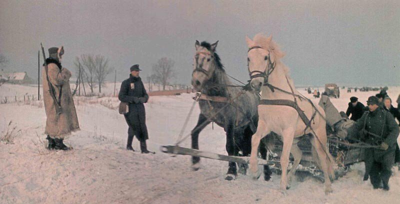 Diary February 6, 1945 12 refugee trek in Eastern Germany