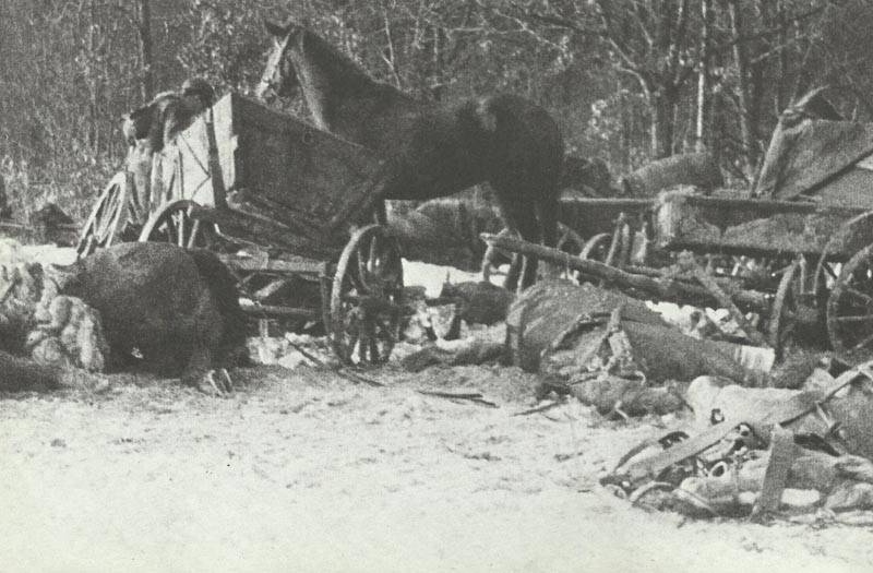 destroyed refugee trek