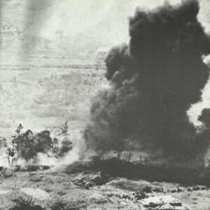 Flamethrower action on Okinawa