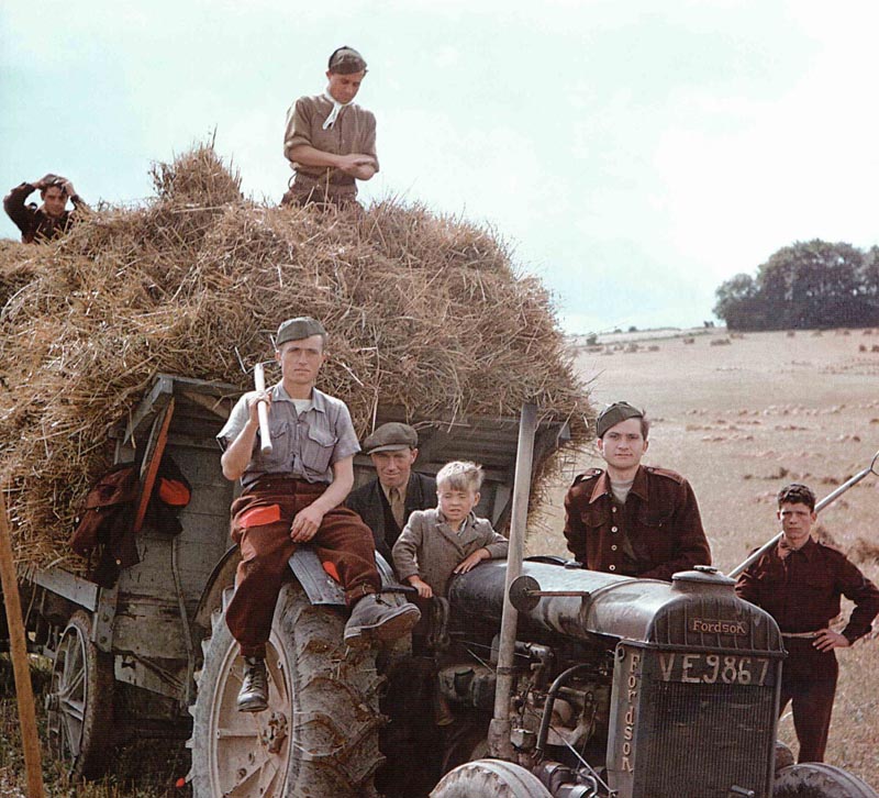 German PoWs as helpers in haymaking