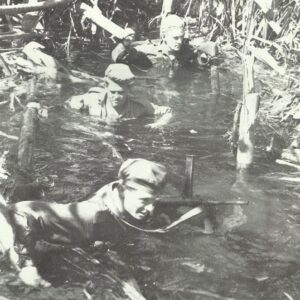 Australian infantrymen advancing through swamps