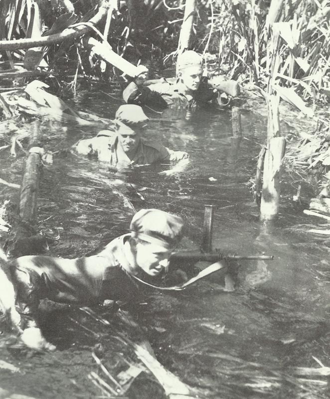 Australian infantrymen advancing through swamps