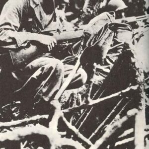 US Marines with M1 Garand in the jungle