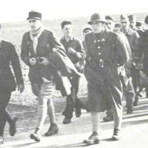 captured Vichy French soldiers