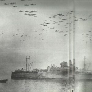 Allied fleet off Tokyo