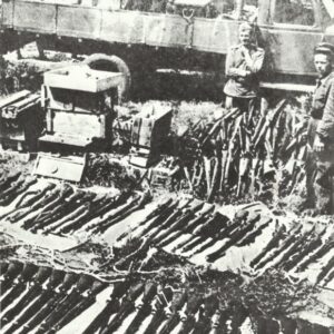captured Ariska rifles