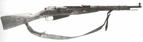 Mosin Nagant 01 px800