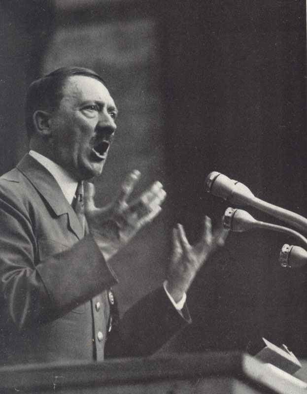 Hitler's DNA Results: Genetic Analysis and Historical Revelations 7 Hitler as demagogue