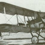 DH2 were flown by RCF squadrons in Palestine