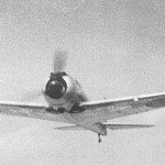 Oscar in air combat