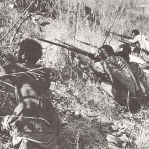 Ethiopian guerillias are shooting on an Italian fort.