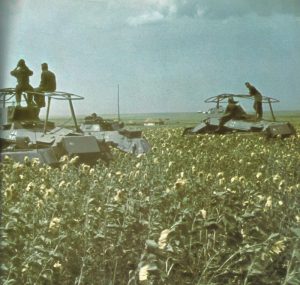 German armored cars Donets Basin Steppes