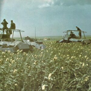 German armored cars Donets Basin Steppes