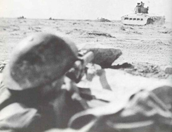 Matilda tank Operation Brevity WW2 Chronology 333 px800