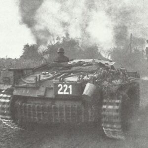 StuG in village combat