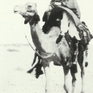 Lawrence of Arabia