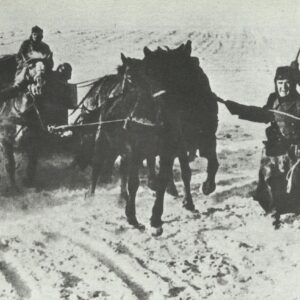 supplies with horses through the deep snow in Russia