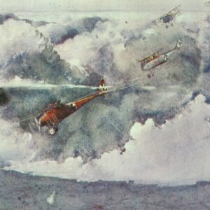 Attack of German Albatros fighters