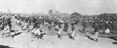 British 'tribal transport' porters