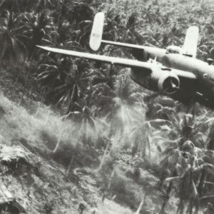 B-25 bomber in close above the jungle