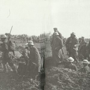 German PoWs are marched to the rear at Arras