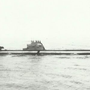 U-81