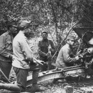 Austrian 10cm M10 mounatin howitzer