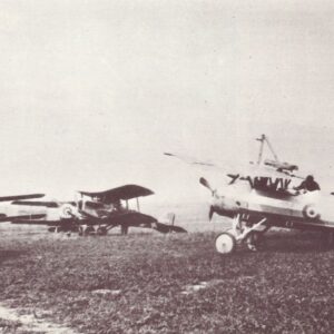 Variety of types on an allied airfield