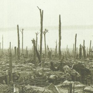 trenches on the Messines Ridge