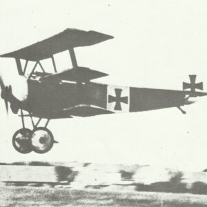 Richthofen's Fokker Dr I