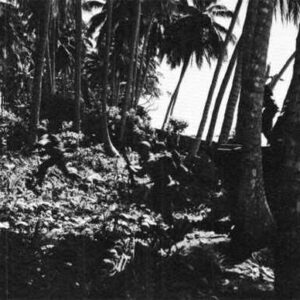 US Marines landing on Guadalcanal