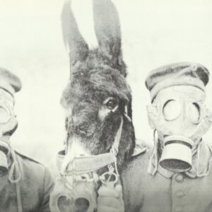 Gasmask for men and donkey