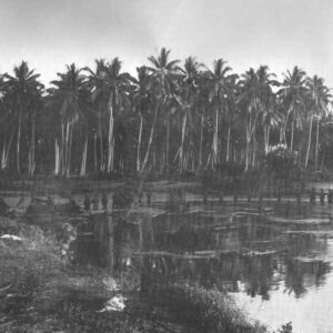 US Marines fighting patrol Guadalcanal