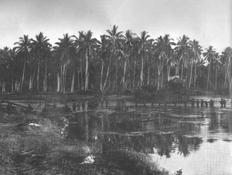 Diary August 21, 1942 22 US Marines fighting patrol Guadalcanal