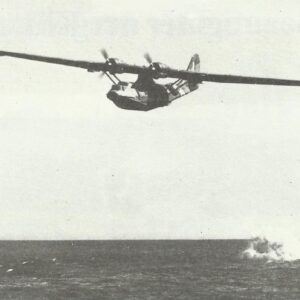 Attack of a Catalina