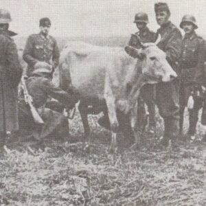 Soldiers of the Hungarian 2nd Army