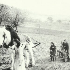 Women and children plowing in France