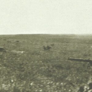 Dismounted Australian mounted infantrymen open fire