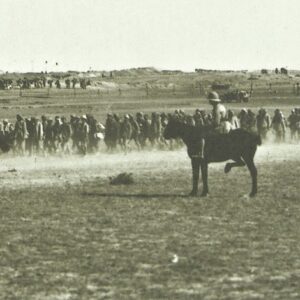Turks captured at Beersheba